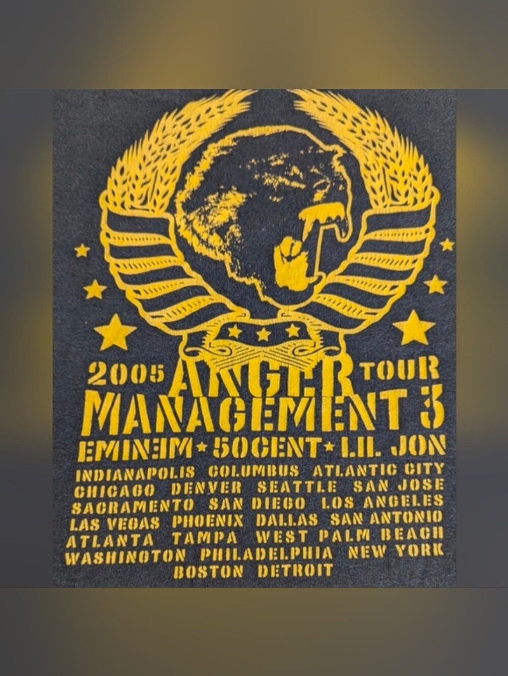 Vintage Music Festival Concert Tee Anger Management 2005 Medium